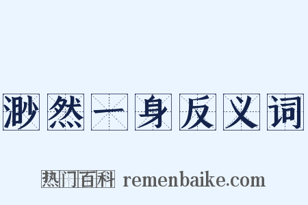 渺然一身反义词是什么意思的图片